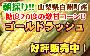 糖度20度の激甘とうもろこし
